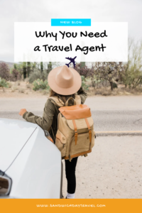 Read more about the article “Why Do I Need A Travel Agent?”